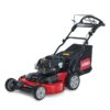 toro11 (1)